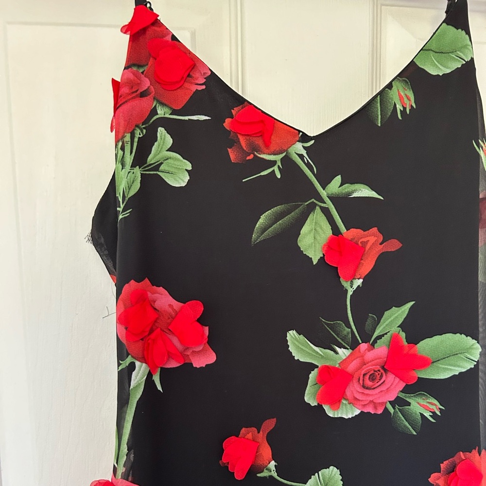 Gorgeous dress needs love